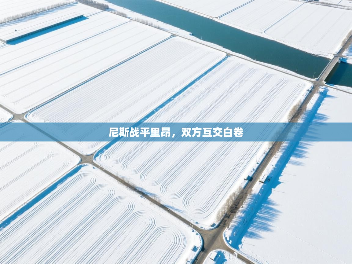 尼斯战平里昂，双方互交白卷