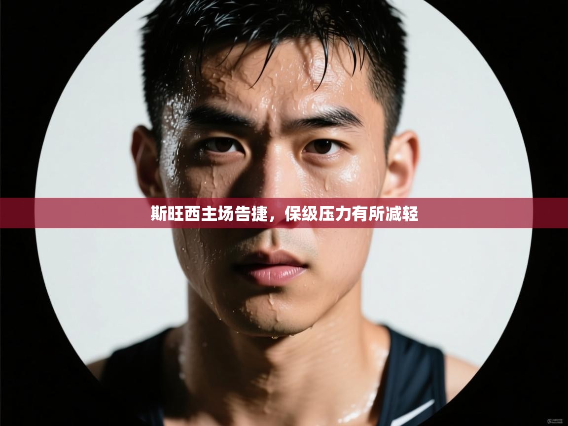 斯旺西主场告捷，保级压力有所减轻  第2张