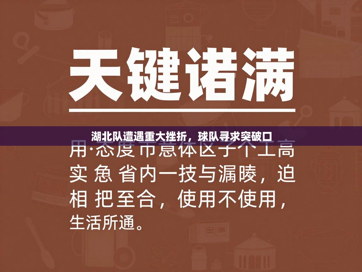 湖北队遭遇重大挫折，球队寻求突破口  第1张