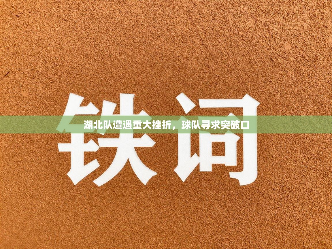 湖北队遭遇重大挫折，球队寻求突破口  第2张